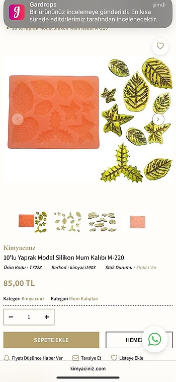  Kimyacınız Silikon Kalıp