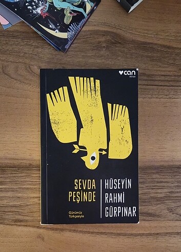 Sevda peşinde 