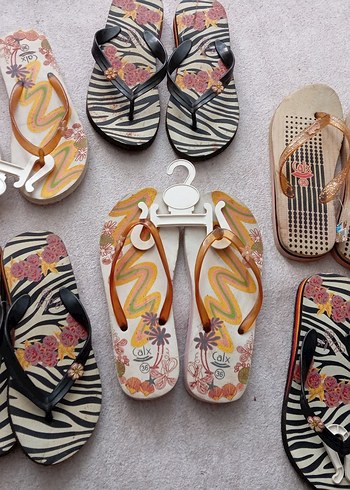 Diğer Renkli Zebra Desenli Kadın Terlik