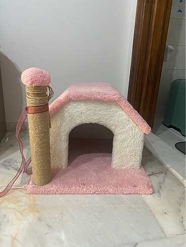 Kedi Evi
