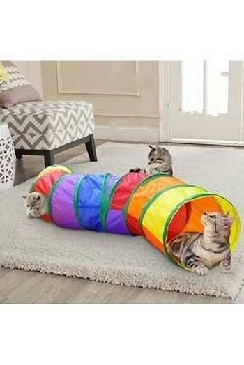 Kedi oyun tüneli