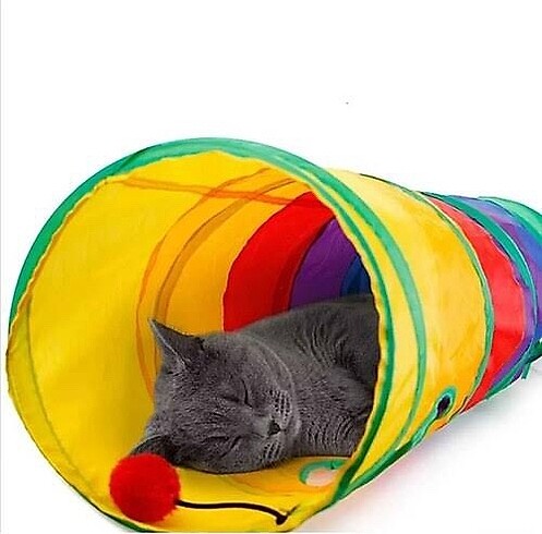 Kedi oyun tüneli