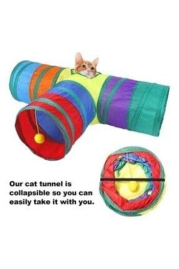 Beden Renk Kedi oyun tüneli