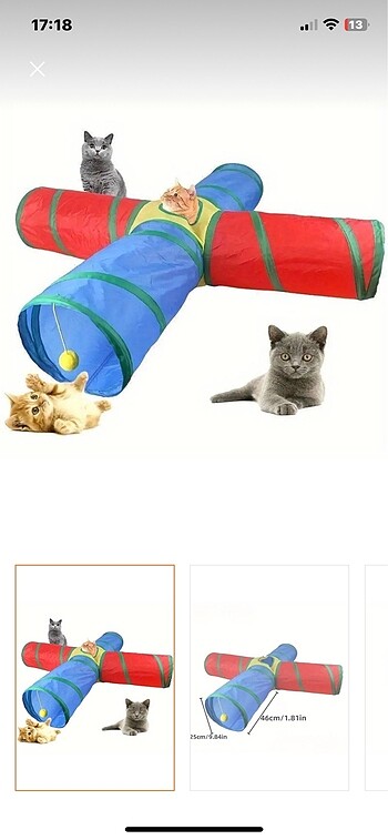 Beden Kedi oyun tüneli