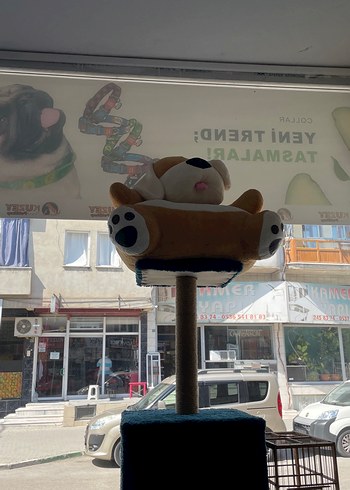  Beden Renkli Penguen Peluş Oyuncak