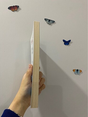  Beden Postayla Gelen Deniz Kabuğu- Behiç Ak
