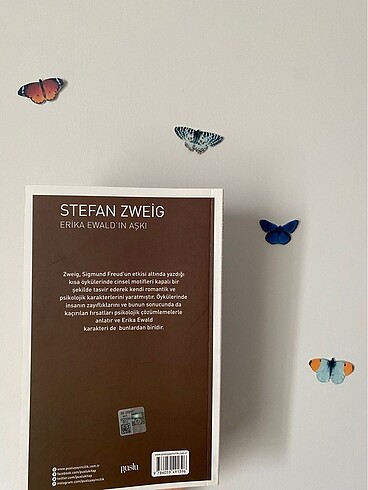  Erika Ewald? ın Aşkı - Stefan Zweig