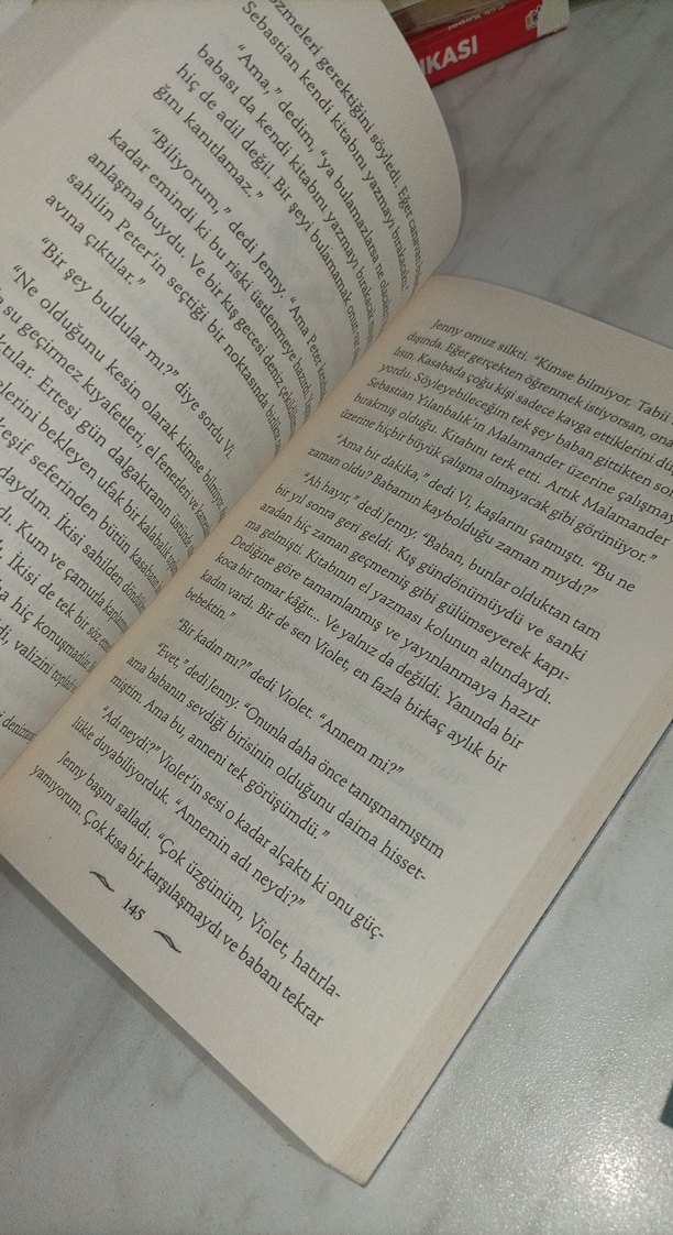 Malamander - Thomas Taylor - Görsel 3