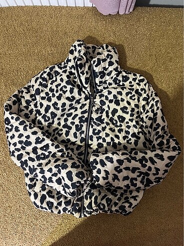 Leopar Mont