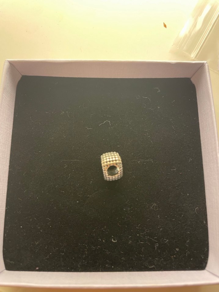 Pandora Kalp Charm - Görsel 2