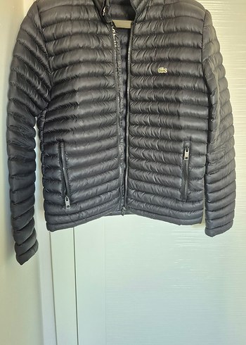 Lacoste Siyah Kapitone Sisme Ceket