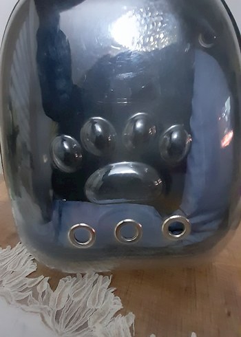 Gri Şeffaf Kedi Taşıma Çantası - Görsel 4