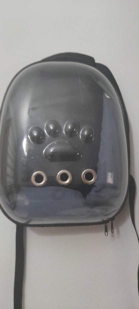 Gri Şeffaf Kedi Taşıma Çantası - Görsel 2