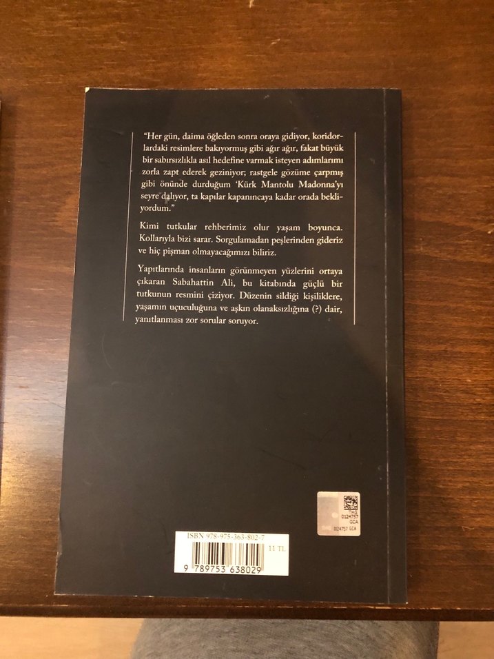 Kürk Mantolu Madonna - Sabahattin Ali - Görsel 2