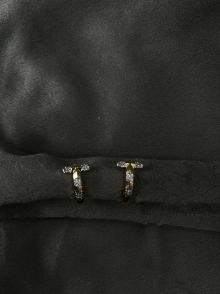 Altın Renk Mini Yılan Desenli Kadın Küpe - Görsel 4