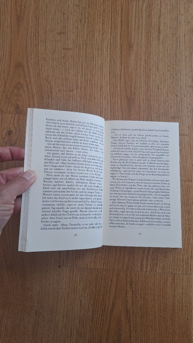 John Irving - Eine Mittelgewichts-Ehe Roman - Görsel 5