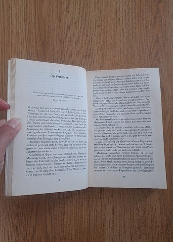 Wei Hui - Shanghai Baby Roman - Görsel 4