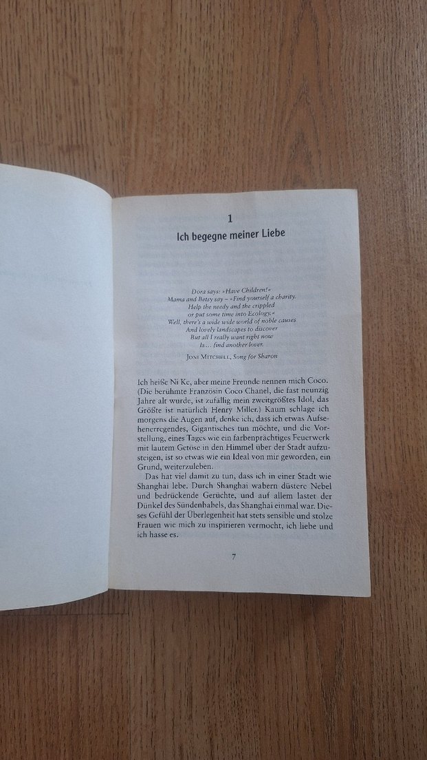 Wei Hui - Shanghai Baby Roman - Görsel 3