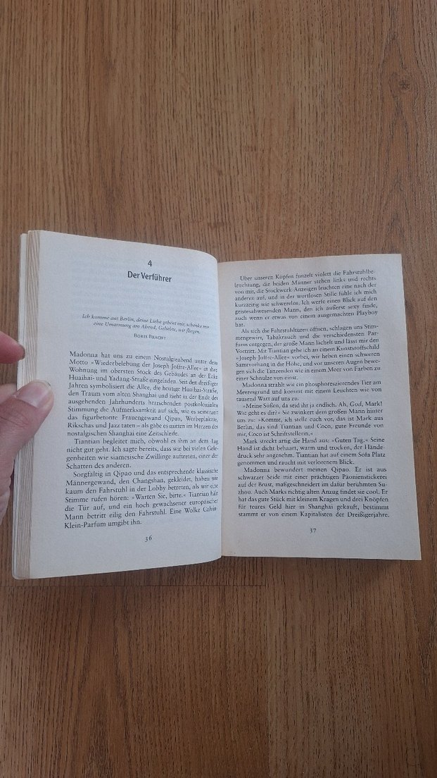 Wei Hui - Shanghai Baby Roman - Görsel 4