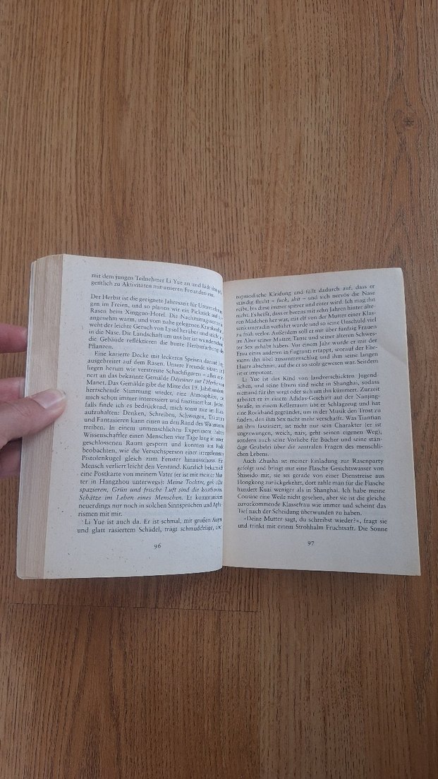 Wei Hui - Shanghai Baby Roman - Görsel 5