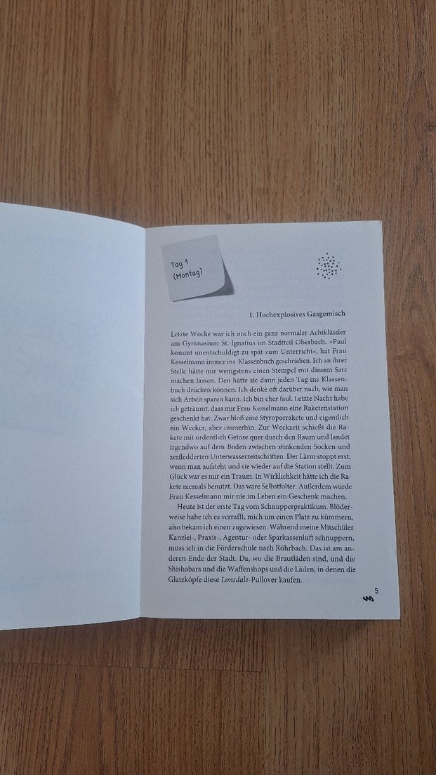 Scheiße Bauen kitabı - Tobias Steinfeld - Görsel 4