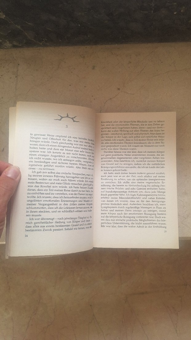 Brandon Bays - The Journey: Der Highway zur Seele - Görsel 4