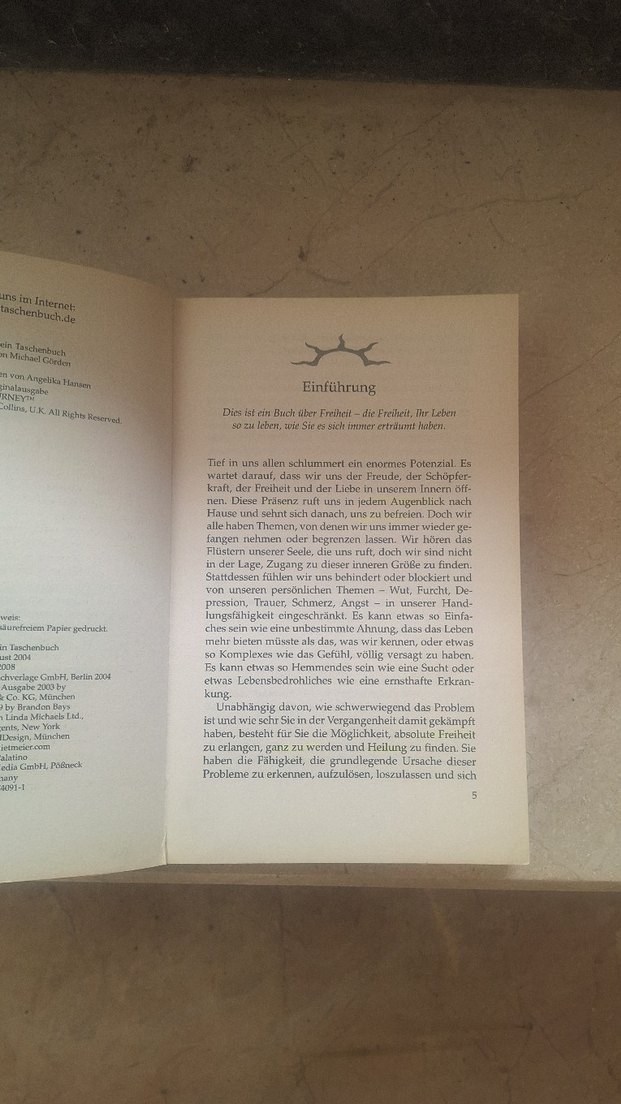 Brandon Bays - The Journey: Der Highway zur Seele - Görsel 3