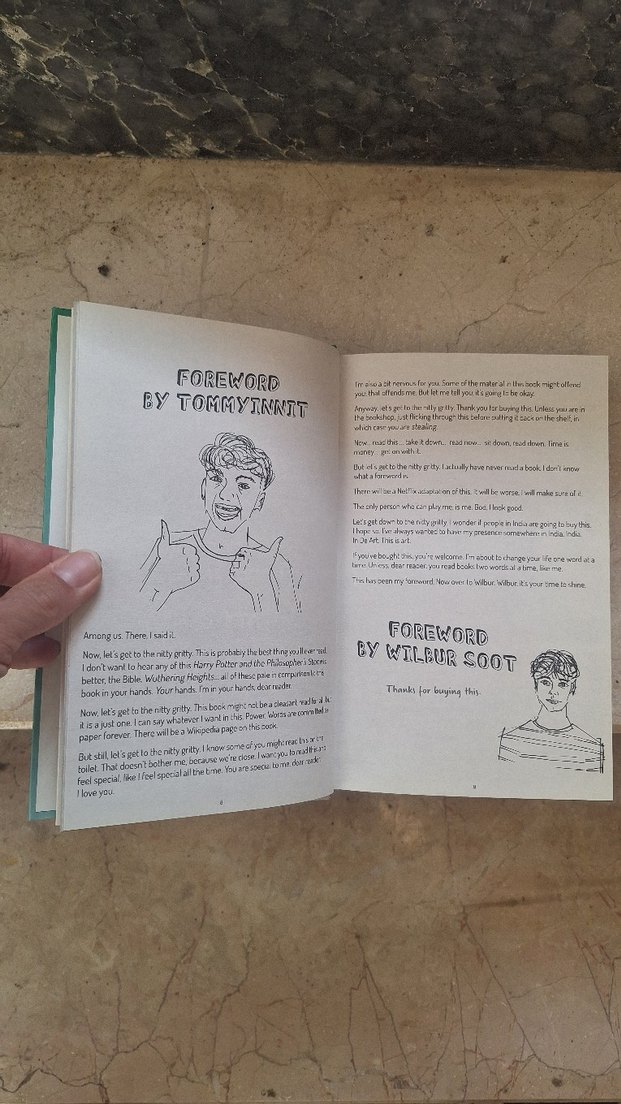 TommyInnit Says Alıntı Kitabı - Görsel 3