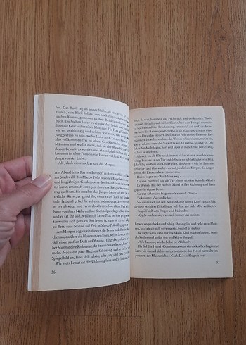 Jurij Brézan - Die grüne Eidechse Roman - Görsel 5