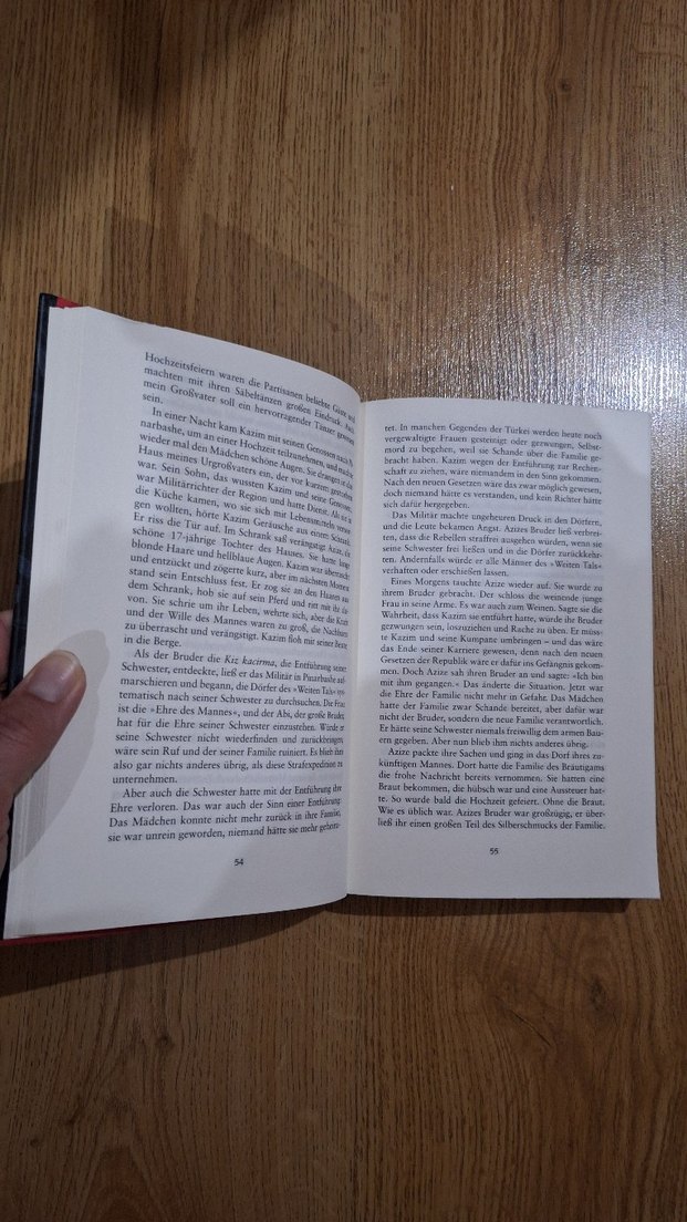 Die fremde Braut - Necla Kelek - Görsel 5