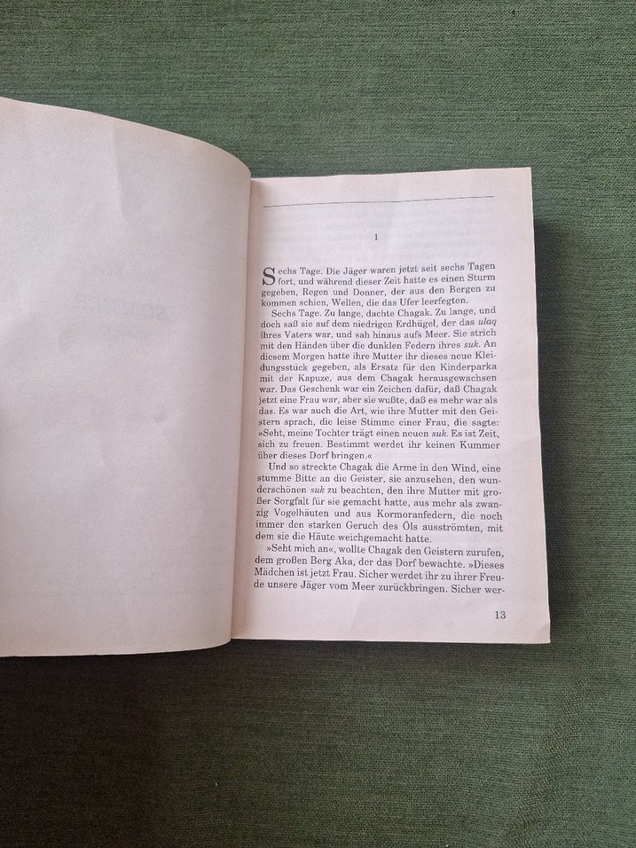 Vater Himmel, Mutter Erde - Sue Harrison Roman - Görsel 3