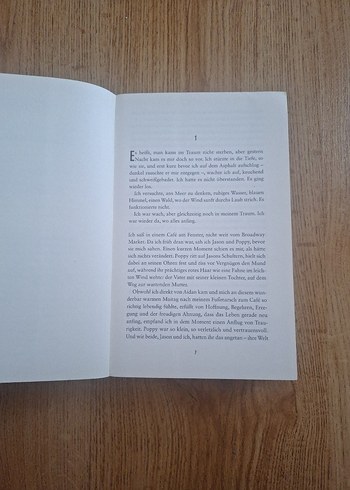 Ein Dunkler Abgrund - Nicci French - Görsel 3