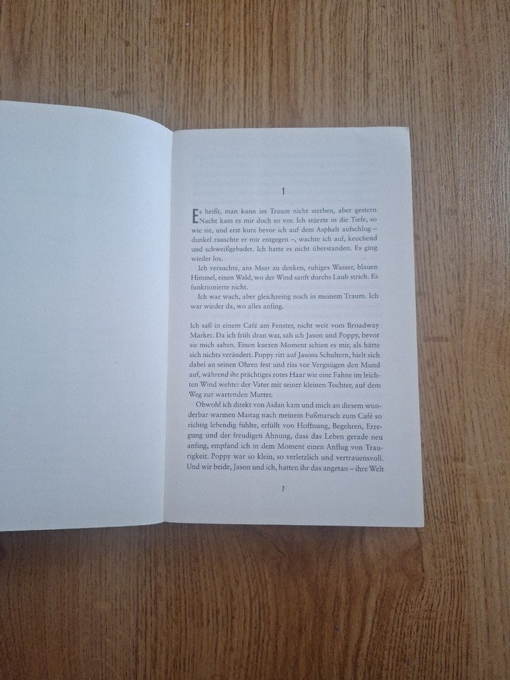 Ein Dunkler Abgrund - Nicci French - Görsel 3