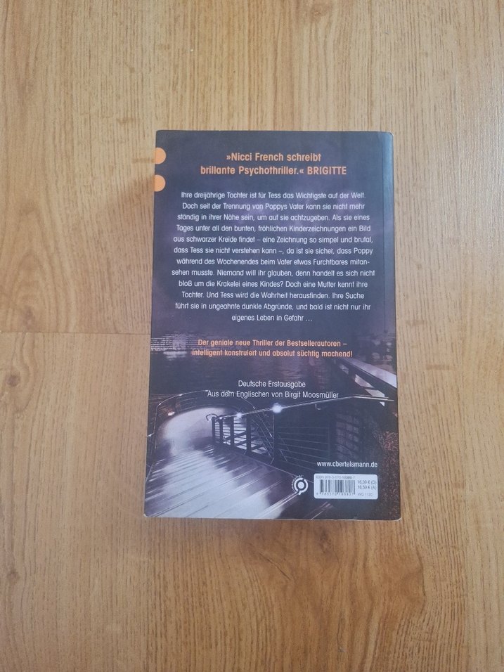 Ein Dunkler Abgrund - Nicci French - Görsel 2