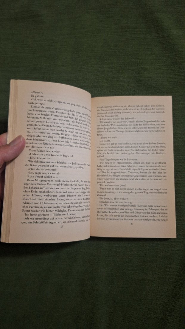 Max Frisch Homo Faber Romanı - Görsel 5