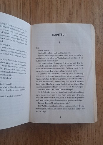 Die Lieferung - Winkelmann Gerilim Romanı - Görsel 3