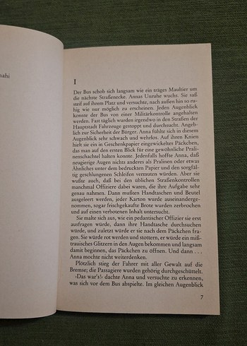 Urs M. Fiechtner: Annas Geschichte Roman - Görsel 4