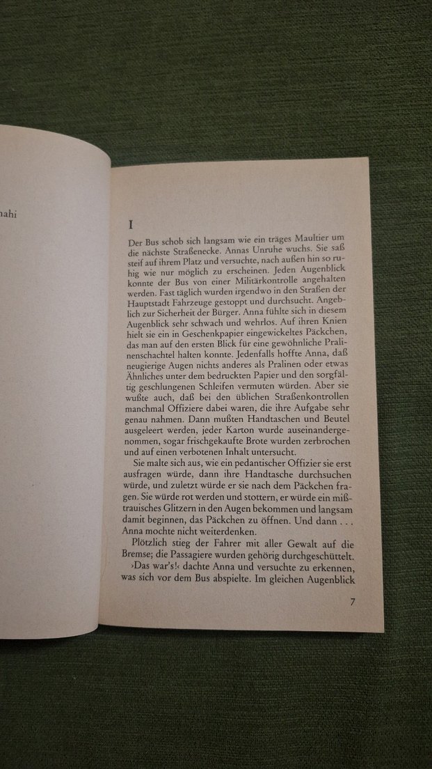 Urs M. Fiechtner: Annas Geschichte Roman - Görsel 4
