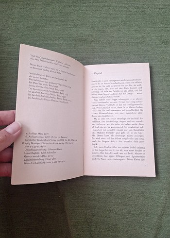 Das Geheimnis der indischen Perle - Federica de Cesco - Görsel 3