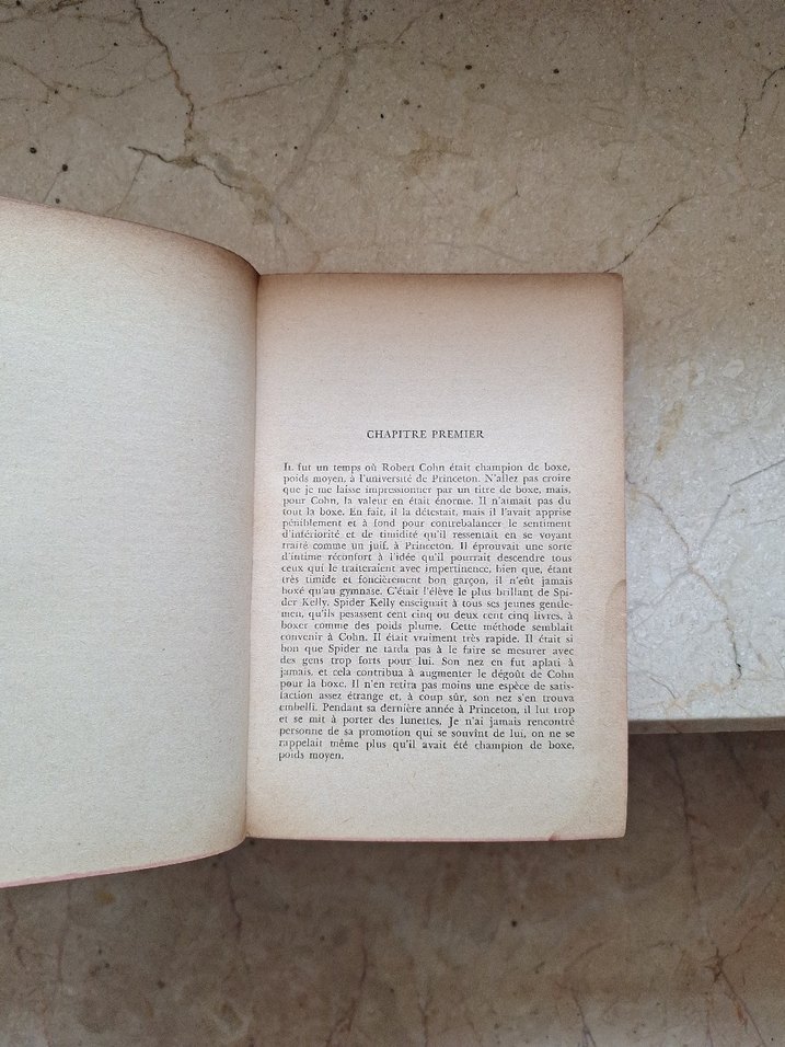 Le Soleil se lève aussi - Ernest Hemingway - Görsel 3