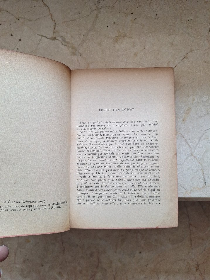 Le Soleil se lève aussi - Ernest Hemingway - Görsel 2