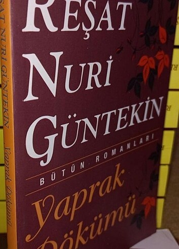 YAPRAK DÖKÜMÜ REŞAT NURİ GÜNTEKİN
