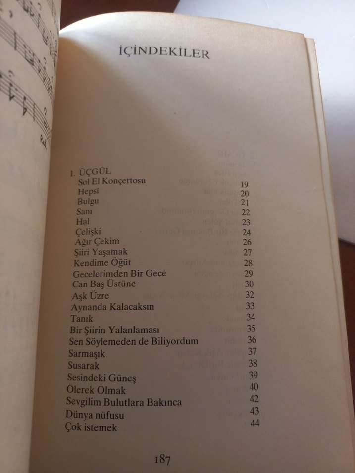 Sondan Başa - Aziz Nesin Şiirleri - Görsel 3