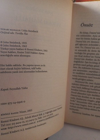 Yukarı Mahalle - John Steinbeck - Görsel 2