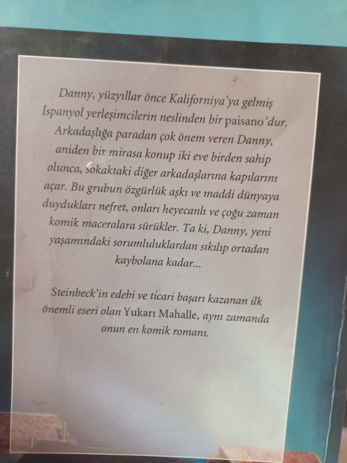 Yukarı Mahalle - John Steinbeck - Görsel 3