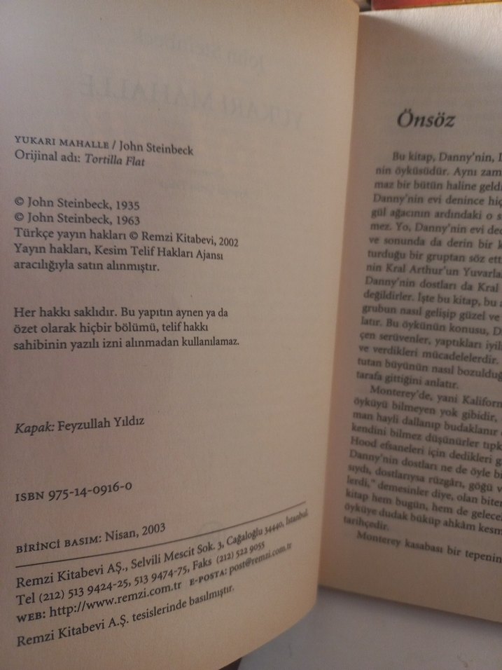 Yukarı Mahalle - John Steinbeck - Görsel 2