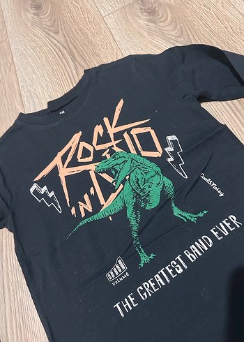 6 Yaş Beden 2 adet H&M Erkek Çocuk T-shirt