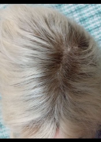 Ultra Doğal Bebek Sarısı Baby Taban Tül Peruk - Çok Doğal - Görsel 2