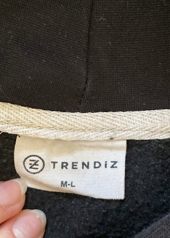 Diğer Trendiz unisex Sweatshirt
