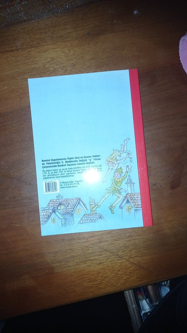 Peter Pan - Çocuk Klasikleri - Görsel 2